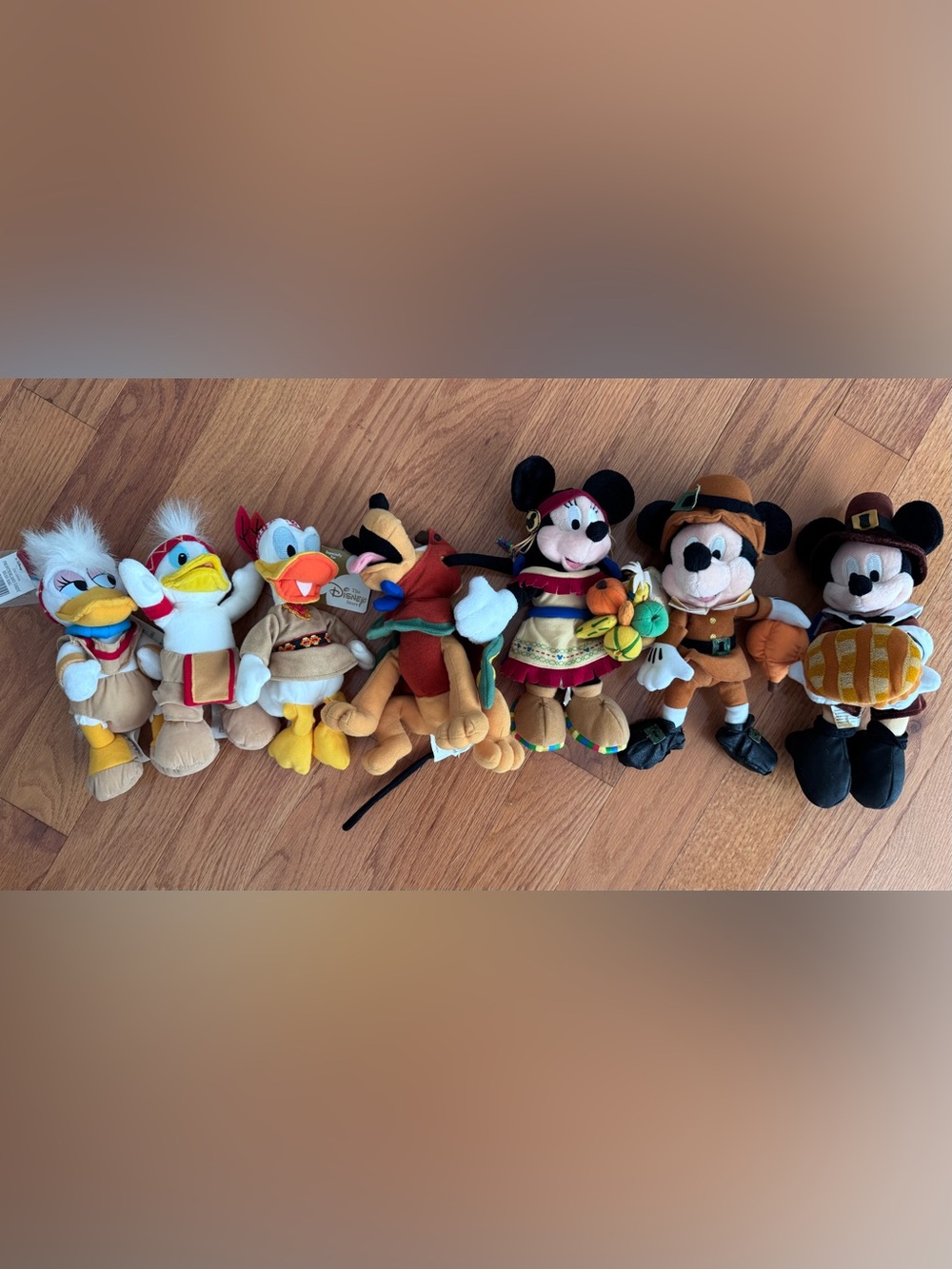 Disney Thanksgiving Plush Lot of 7 WDW Mickey Minnie Donald Daisy Pluto Huey VTG